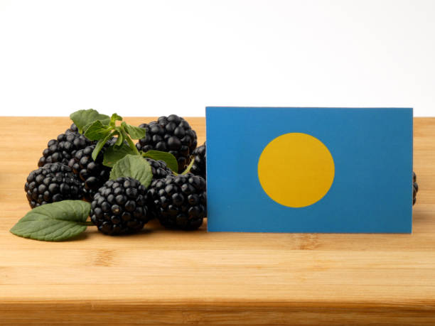 istock Palau flag on a wooden panel with blackberries isolated on a white background 843587408