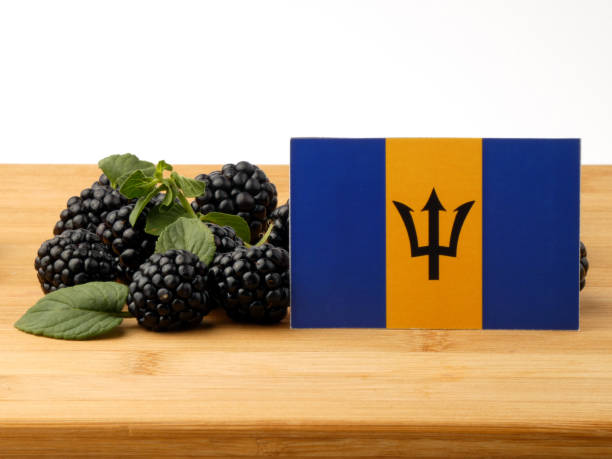 istock Barbados flag on a wooden panel with blackberries isolated on a white background 843590702