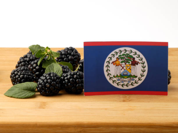 istock Belize flag on a wooden panel with blackberries isolated on a white background 843593570