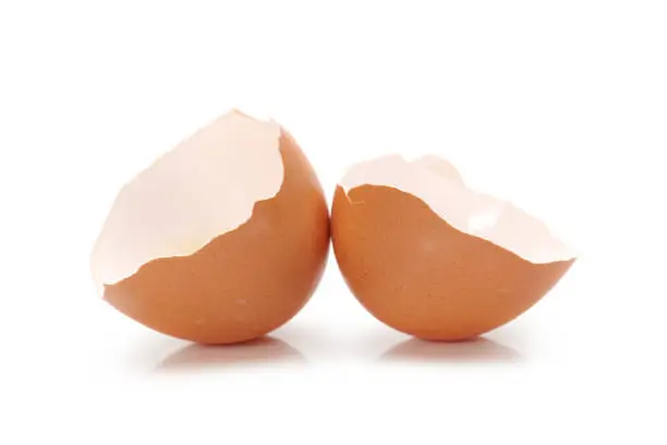 Egg shell  on a white background