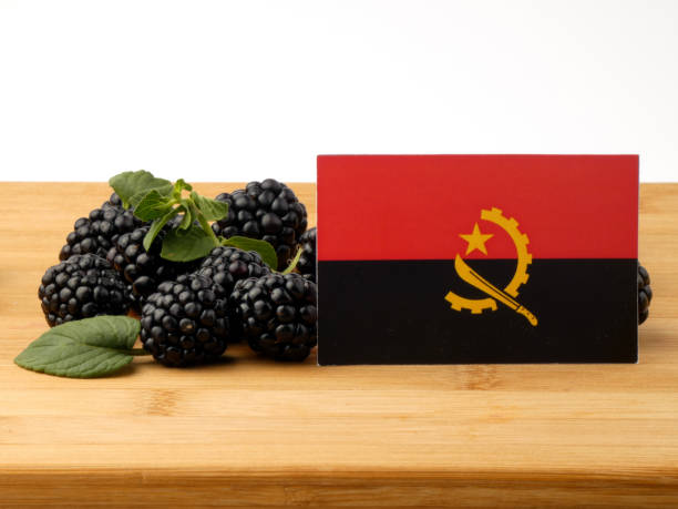 istock Angolan flag on a wooden panel with blackberries isolated on a white background 843594688
