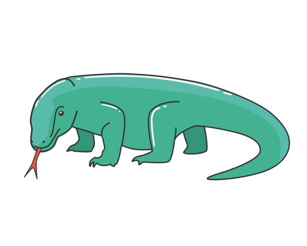 Komodo Dragon Vector Illustration Stock Illustration - Download Image Now - Komodo  Dragon, Animal, Animal Wildlife - iStock