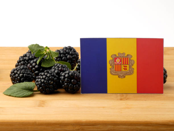 istock Andorra flag on a wooden panel with blackberries isolated on a white background 843598614
