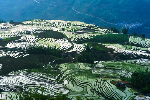 Terraced rice field in water season by sunset period, the time before starting grow rice in Y Ty, Lao Cai province, Vietnam