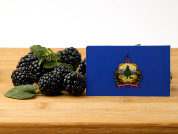 istock Vermont flag on a wooden panel with blackberries isolated on a white background 843600504