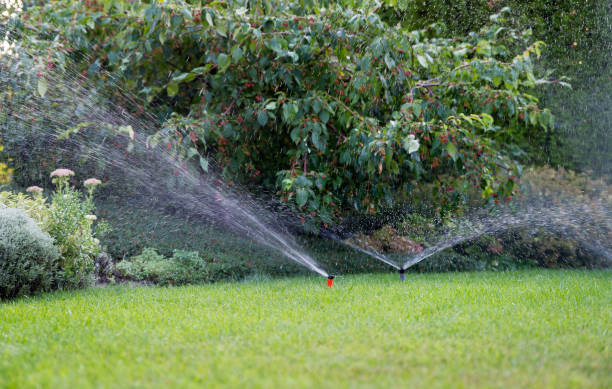 istock Irrigation of the garden with sprinkler system. 843603072