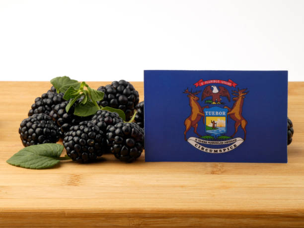istock Michigan flag on a wooden panel with blackberries isolated on a white background 843603546