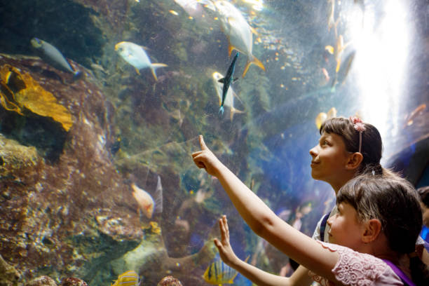 istock Kids looking at fish in a big aquarium 843603558