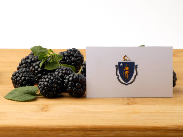 istock Massachusetts flag on a wooden panel with blackberries isolated on a white background 843603588