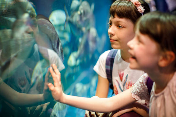 istock Kids looking at fish in a big aquarium 843603642