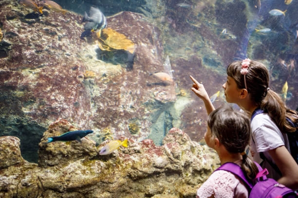 istock Kids looking at fish in a big aquarium 843603656