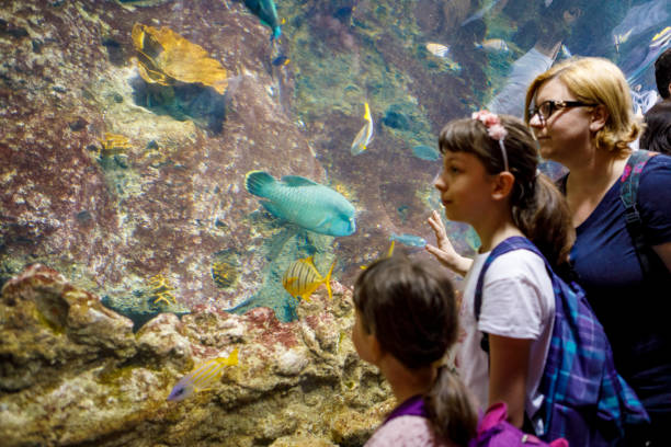 istock Tourists exploring sea life in aquarium 843603804