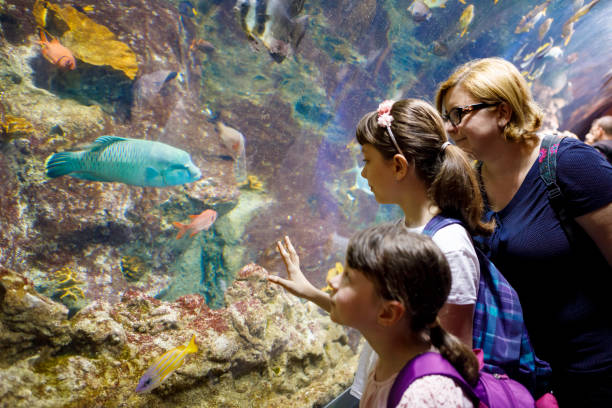 Family adventures in huge aquarium