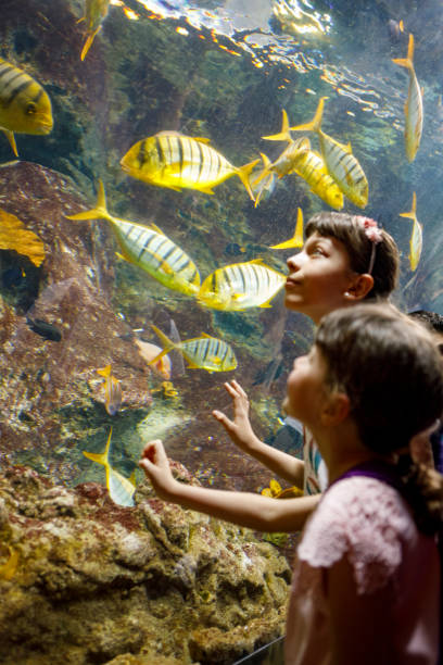 istock Kids looking at fish in a big aquarium 843604166