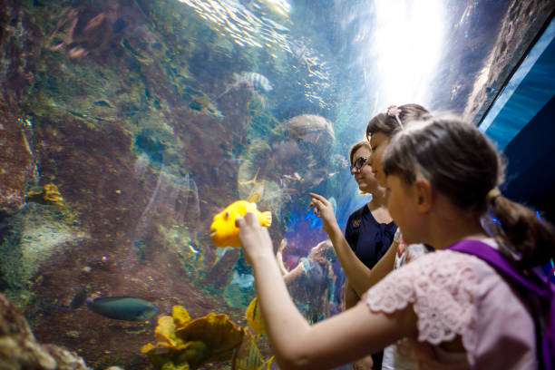 istock Tourists exploring sea life in aquarium 843604186