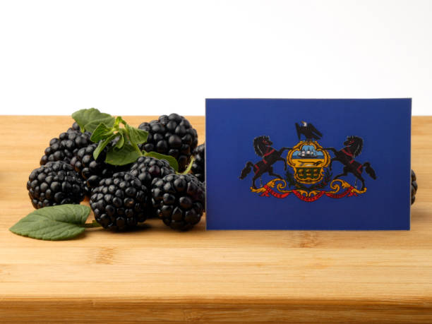 istock Pennsylvania flag on a wooden panel with blackberries isolated on a white background 843605722