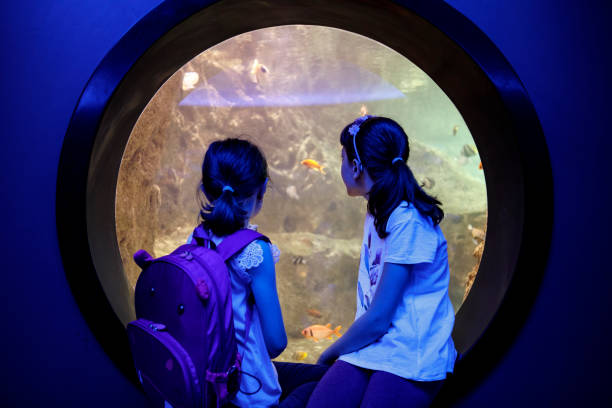 巨大な水族館で魚を見ている子供 - candid underwater animal aquarium ストックフォトと画像