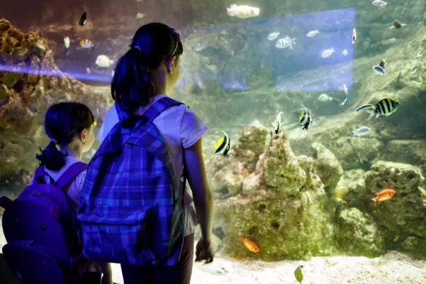 Photo of Kids looking at fish in a big aquarium