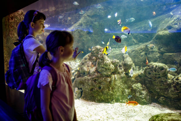 istock Kids looking at fish in a big aquarium 843607052