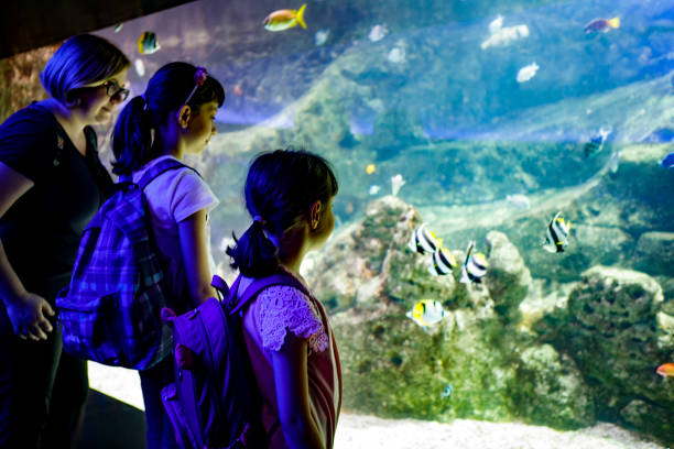 istock Tourists exploring sea life in aquarium 843607060