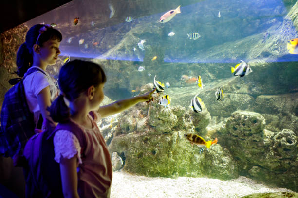 istock Kids looking at fish in a big aquarium 843607082