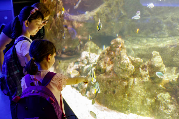 istock Tourists exploring sea life in aquarium 843607354