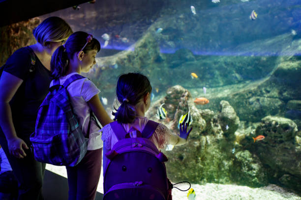 istock Tourists exploring sea life in aquarium 843607360