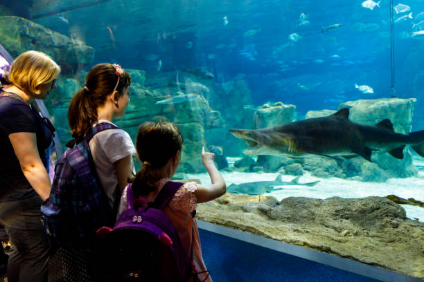Tourists exploring sea life in aquarium