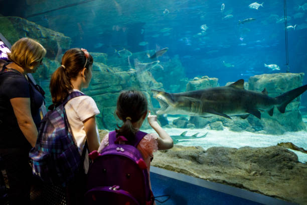 istock Mother with kids visiting big aquarium 843608236