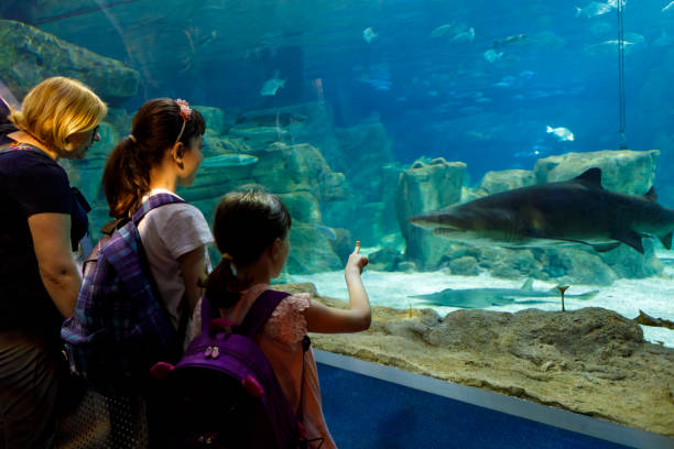 istock Tourists exploring sea life in aquarium 843608238