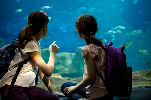 istock Kids looking at fish in a big aquarium 843610450