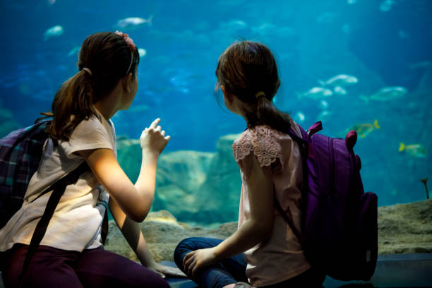 dzieci patrzące na ryby w dużym akwarium - discovery elementary school field trip zoo zdjęcia i obrazy z banku zdjęć