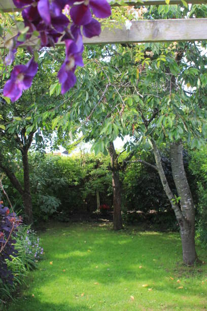 istock English country garden 843610466