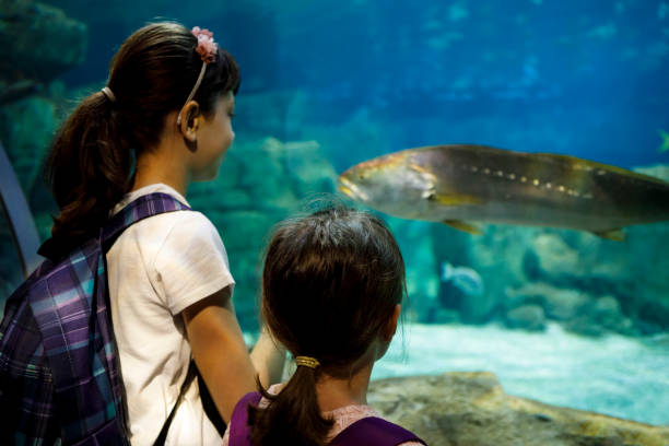 istock Kids looking at fish in a big aquarium 843610556