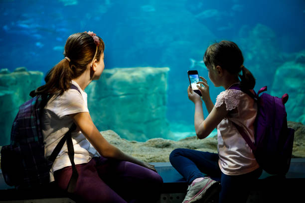 kinderen vastleggen van foto's van vissen in aquarium - vissenkom fotos stockfoto's en -beelden