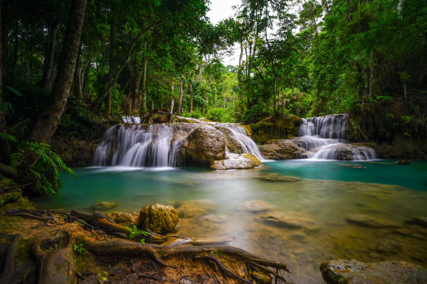 istock Kwang Si Waterfall in Luang Prabang 843610716