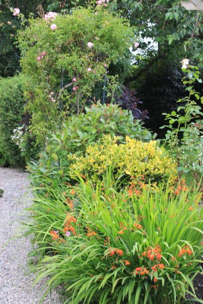 istock English country garden 843610790