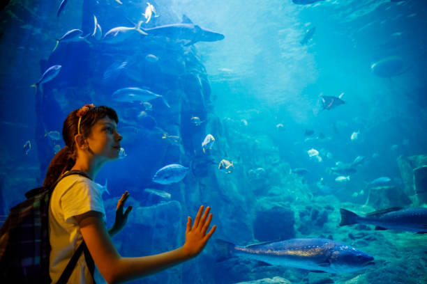 bambina carina che guarda la vita sottomarina in un grande acquario - acquarium foto e immagini stock
