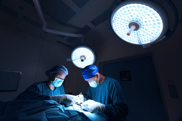 istock two of veterinarian surgery in operation room 843611580