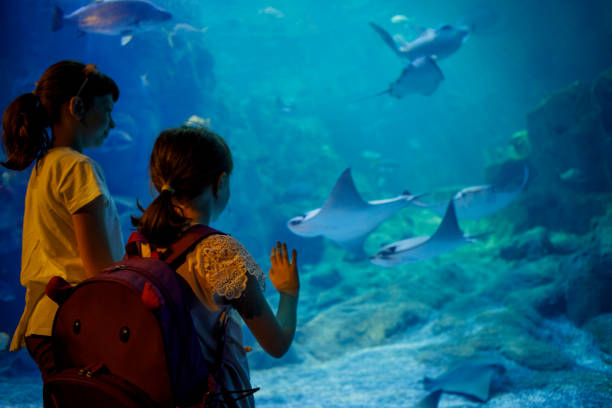 istock Kids looking at fish in a big aquarium 843611822