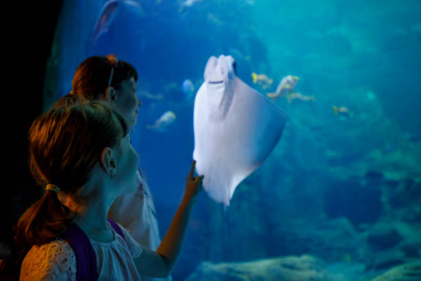 istock Kids looking at fish in a big aquarium 843612056