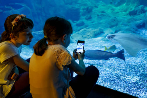 crianças, capturando fotos de peixes no aquário - think tank fotos - fotografias e filmes do acervo