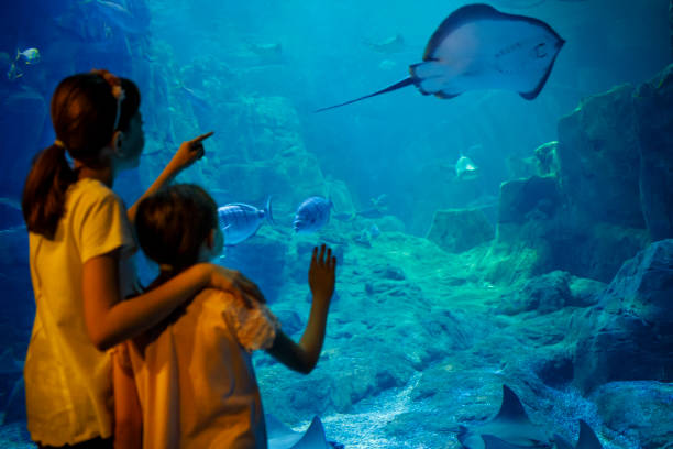 istock Kids looking at fish in a big aquarium 843612370