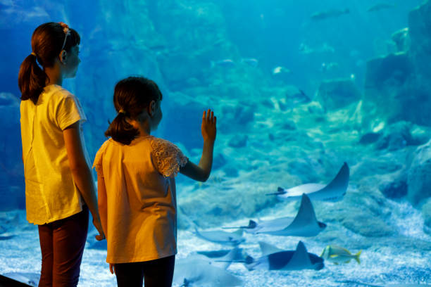 istock Kids looking at fish in a big aquarium 843612380