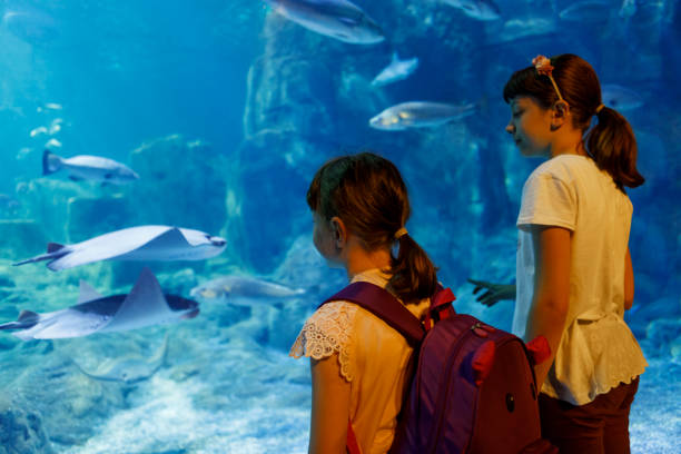 istock Kids looking at fish in a big aquarium 843616928