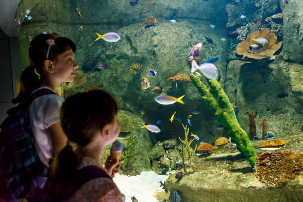 istock Kids looking at fish in a big aquarium 843616930