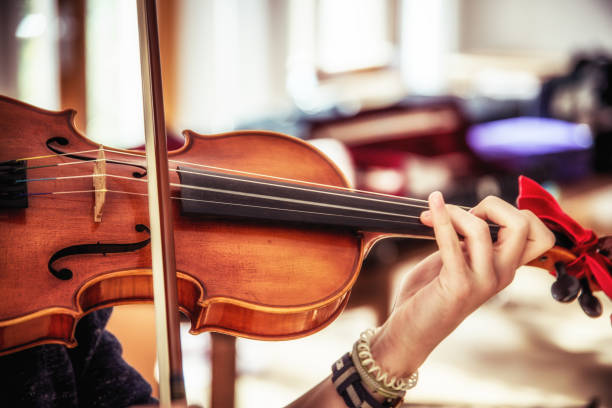 Musician playing violin Musician playing violin brandenburg state photos stock pictures, royalty-free photos & images