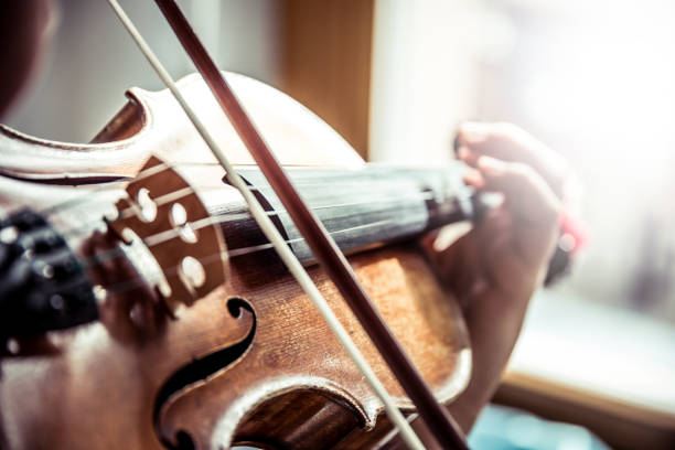 musiker spielt violine - saite stock-fotos und bilder