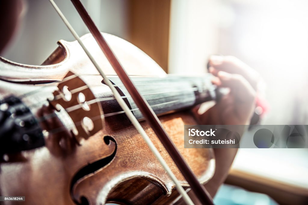 Musician playing violin Violin Stock Photo