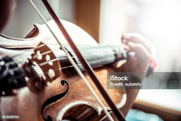 Musician Playing Violin Stock Photo - Download Image Now - Violin, Child, Musical Instrument